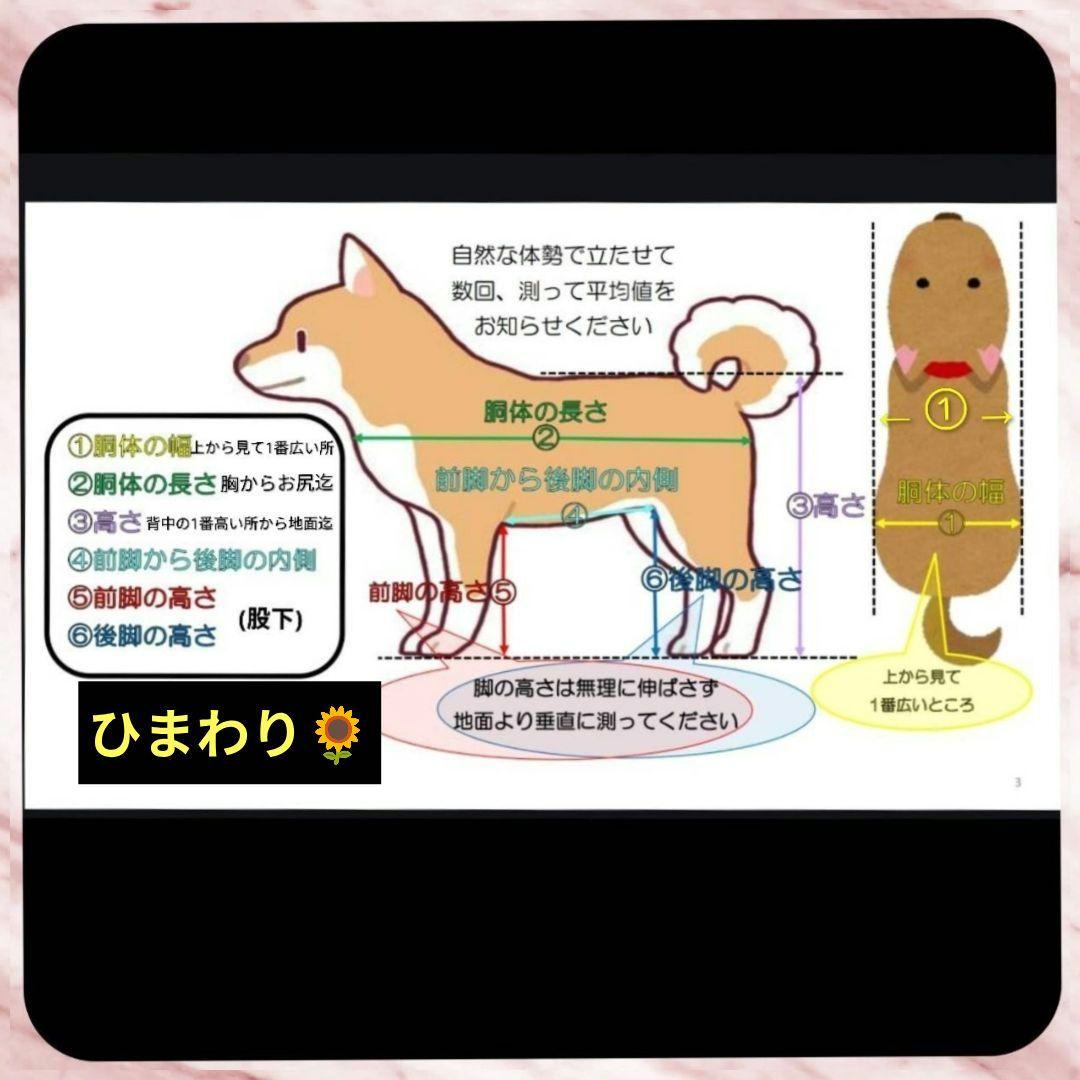 ワンちゃん4輪　リハビリ　食事補助　犬用車椅子　床ずれ防止　犬の歩行器